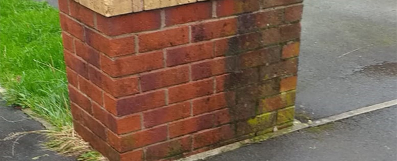 Wall Cleaning