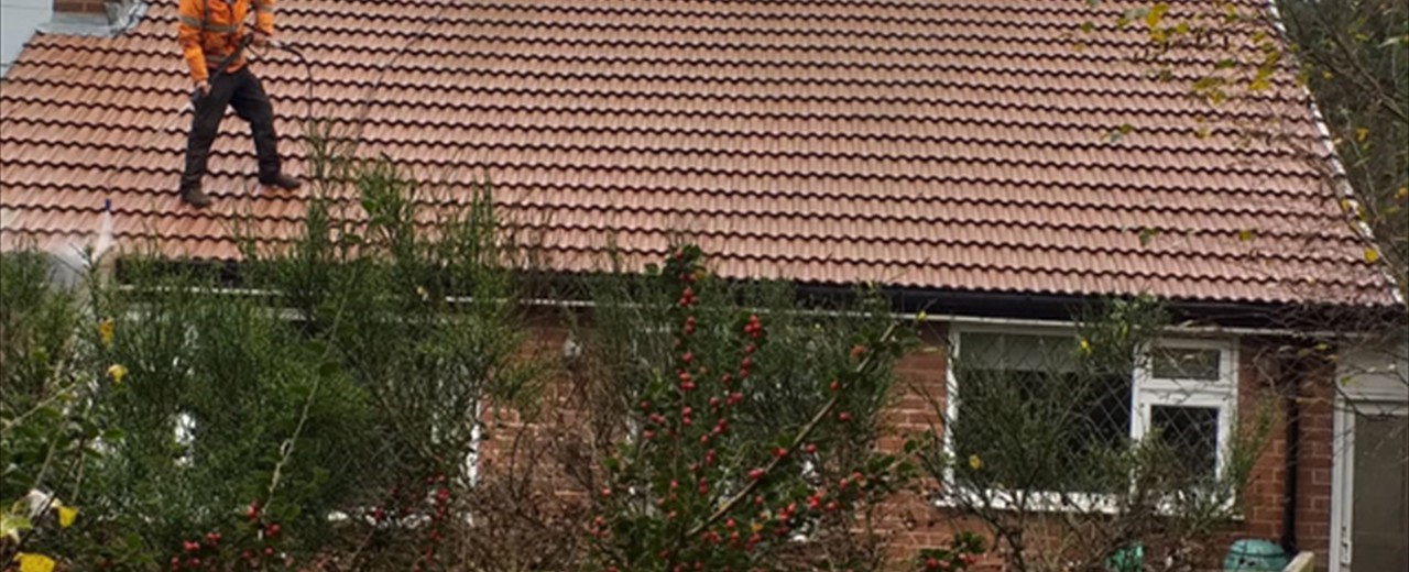 Full Roof Cleaning