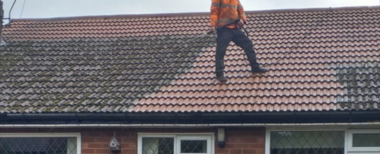 Professional Steam Cleaning