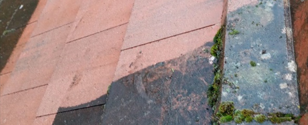 Steam Cleaning Services