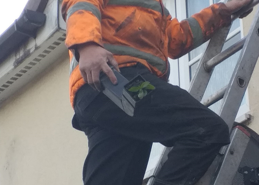gutter-cleaning
